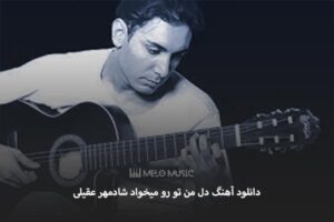 دانلود آهنگ دل من تو رو میخواد شادمهر عقیلی