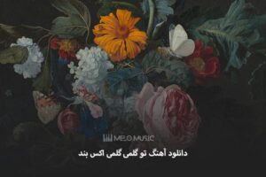 دانلود آهنگ تو گلمی گلمی اکس بند