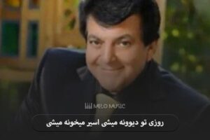 دانلود آهنگ روزی تو دیوونه میشی اسیر میخونه میشی عباس قادری