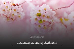 دانلود آهنگ چه سالی بشه امسال معین
