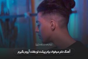 دانلود آهنگ دلم میخواد بیام پیشت تو بغلت آروم بگیرم
