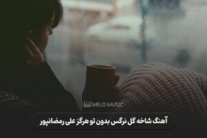 دانلود آهنگ شاخه گل نرگس بدون تو هرگز علی رمضانپور