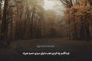 دانلود آهنگ تو با قلبم چه کردی عجب دنیای سردی حمید هیراد