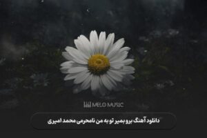 دانلود آهنگ برو بمیر تو به من نامحرمی محمد امیری