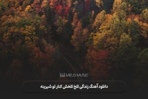 دانلود آهنگ زندگی تلخ تلخش کنار تو شیرینه