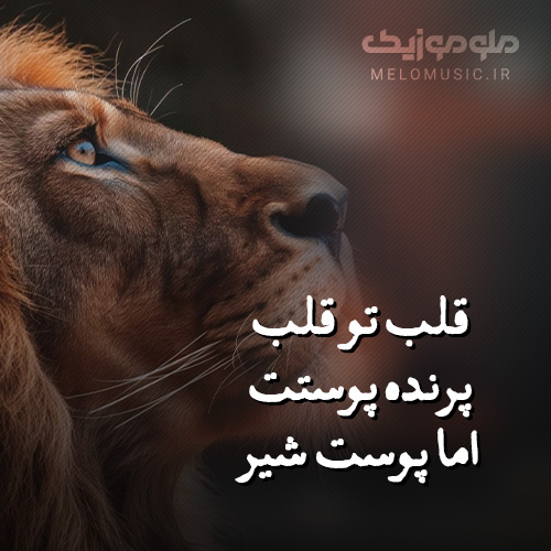 کاور آهنگ پوست شیر از ابی