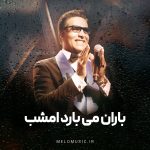 دانلود آهنگ باران میبارد امشب امید