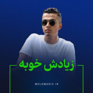 دانلود آهنگ زیادش خوبه بهزاد لیتو