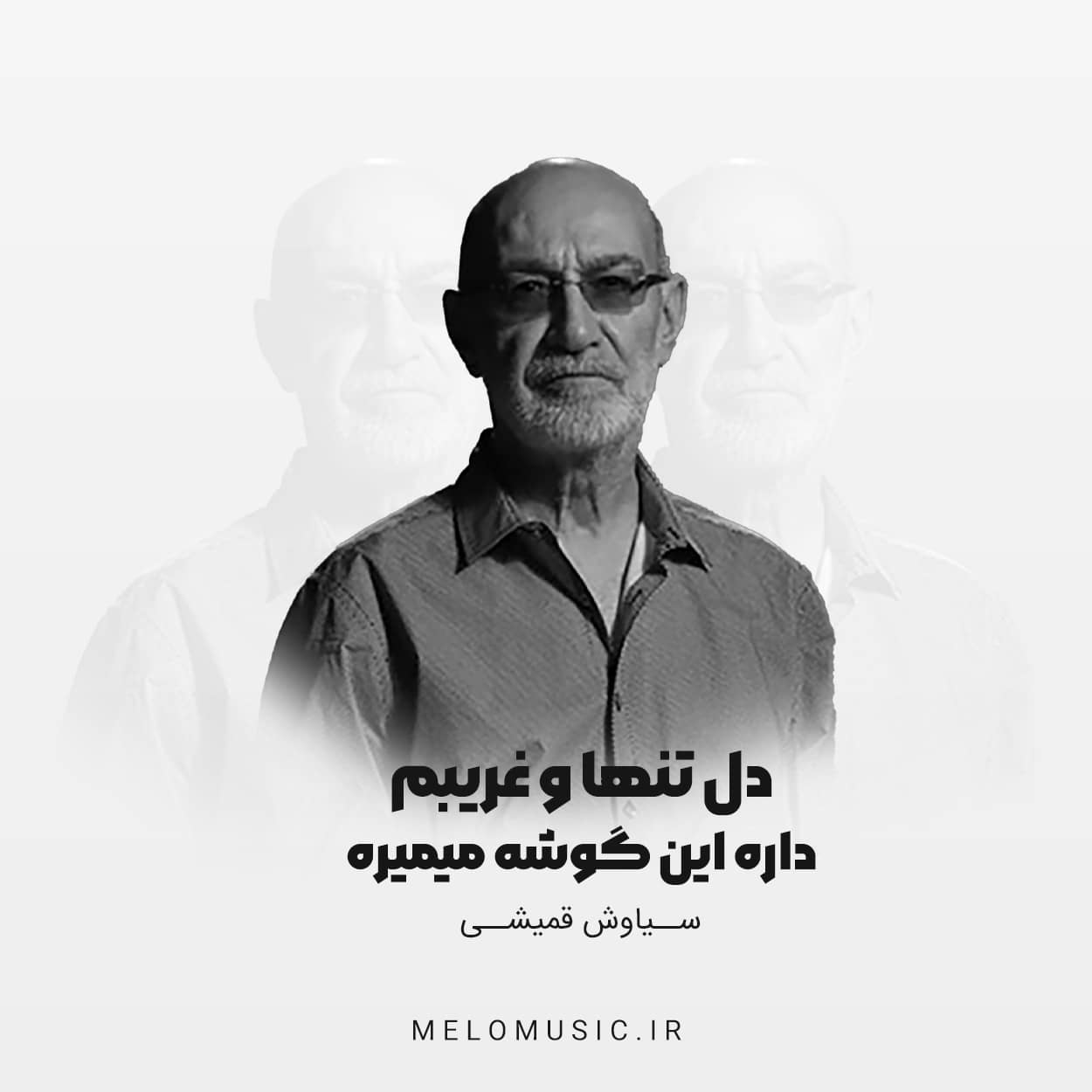 آهنگ دل تنها و غریبم داره این گوشه میمیره