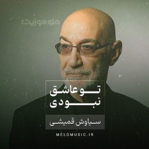 دانلود آهنگ تو عاشق نبودی از سیاوش قمیشی