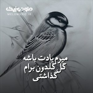 دانلود آهنگ میرم یادت باشه گل گلدون برام گذاشتی از بهیاد