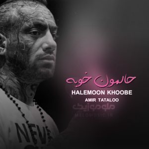 دانلود آهنگ حالمون خوبه امیر تتلو