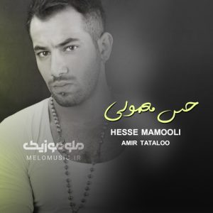 دانلود آهنگ حس معمولی امیر تتلو